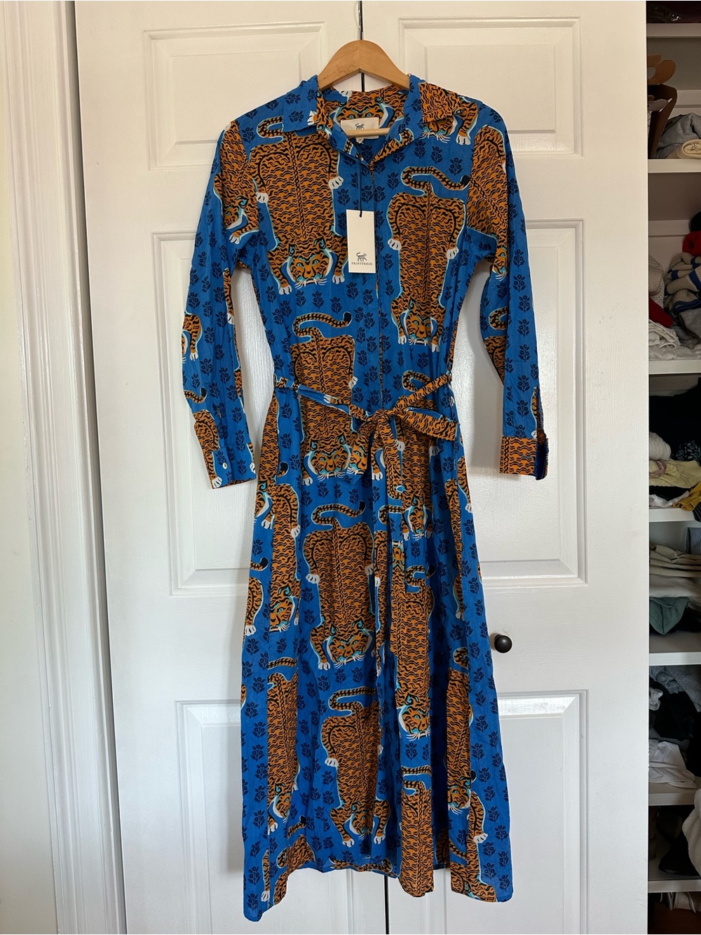 Printfresh Siberian Stripes Dress in blue (Tiger-Print) Long Sleeve Shirt Dress